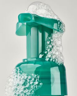 Nước Rửa Tay Tạo Bọt White Tea & Sage Gentle & Clean Foaming Hand Soap image number null