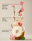 Tinh Dầu X&ocirc;ng Ph&ograve;ng Japanese Cherry Blossom Wallflowers Fragrance Refill image number null