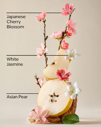 Tinh Dầu X&ocirc;ng Ph&ograve;ng Japanese Cherry Blossom Wallflowers Fragrance Refill Tinh Dầu X&ocirc;ng Ph&ograve;ng