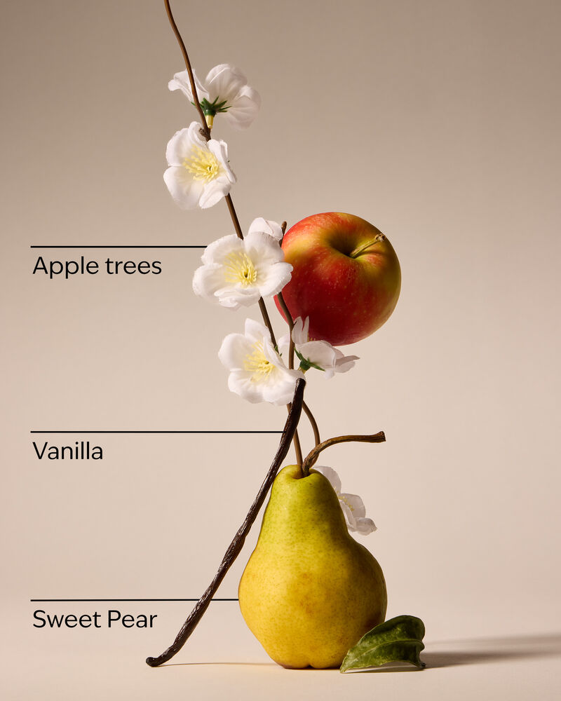 Nến 3 Bấc Spring Apple 3-Wick Candle Nến 3 Bấc