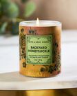 Nến 1 Bấc Backyard Honeysuckle Single Wick Candle image number null