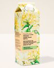 Backyard Honeysuckle Gentle & Clean Foaming Hand Soap Refill image number null