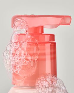 Nước Rửa Tay Dưỡng Ẩm Mango & Coconut Milk Daily Moisturizing Hand Soap image number null