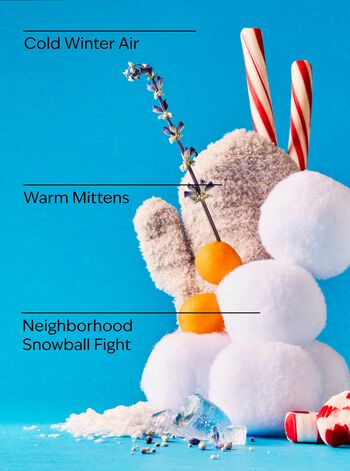 Tinh Dầu X&ocirc;ng Ph&ograve;ng Snowball Fight Wallflowers Fragrance Refill Wallflowers Fragrance Refill