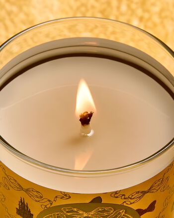 Nến 1 Bấc Life's a Fairytale Single Wick Candle Single Wick Candle