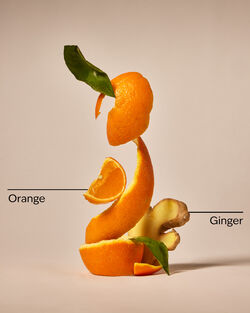 Nến 1 Bấc Orange Ginger Single Wick Candle image number null