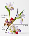 Butterfly Fine Fragrance Mist image number null