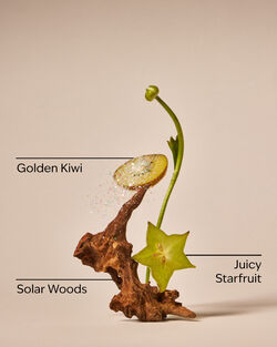 Tinh Dầu X&ocirc;ng Ph&ograve;ng Sweet Kiwi & Starfruit Wallflowers Fragrance Refill