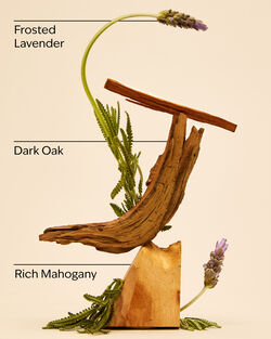 Mahogany Teakwood Body Spray image number null