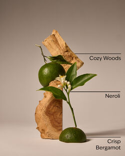 Nước Hoa &Ocirc; T&ocirc; Book Loft Car Fragrance Refill image number null