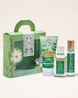 Bộ Qu&agrave; Tặng Eucalyptus Spearmint Gift Set image number null