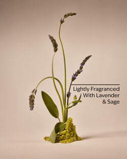 Gel Cạo R&acirc;u Ultimate Shave Gel image number null