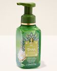 Nước Rửa Tay Tạo Bọt Tiana Gentle & Clean Foaming Hand Soap image number null