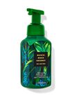 Waikiki Beach Coconut Gentle & Clean Foaming Hand Soap image number null