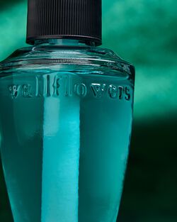 Tinh Dầu X&ocirc;ng Ph&ograve;ng Mulan Wallflowers Fragrance Refill image number null