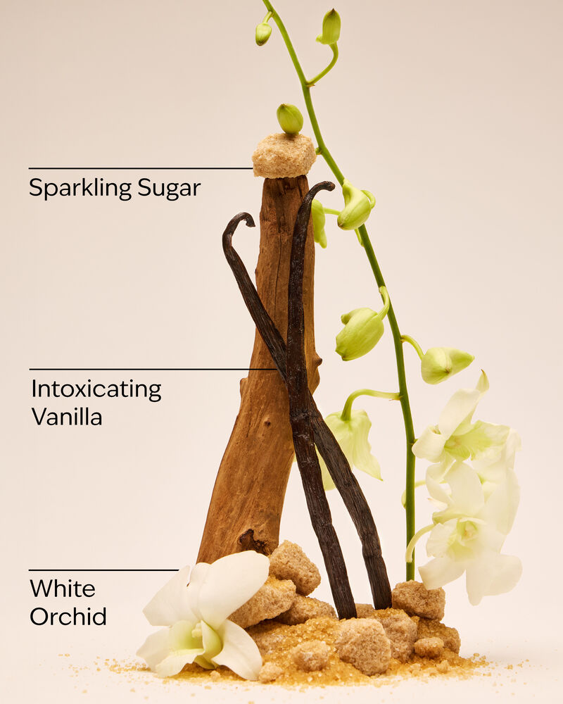 Sữa Dưỡng Thể Dưỡng Da H&agrave;ng Ng&agrave;y Warm Vanilla Sugar Daily Nourishing Body Lotion Sữa Dưỡng Thể