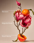 Pink Peach Blossom 3-Wick Candle image number null