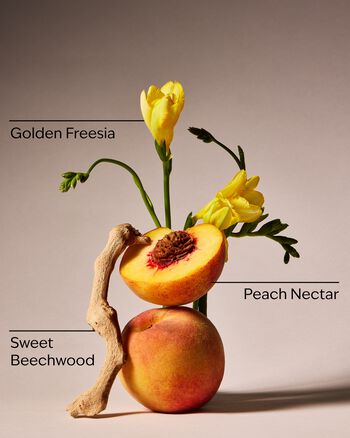Peach Blossom & Nectar 3-Wick Candle 3-Wick Candle