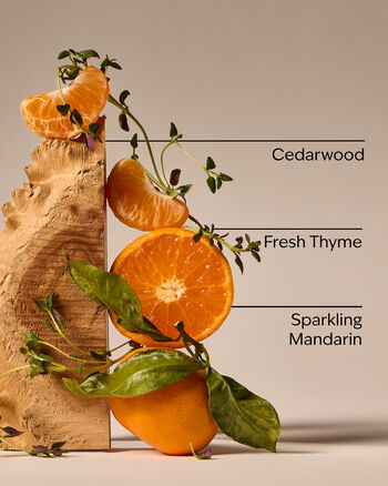 Kitchen Mandarin Cleansing Gel Hand Soap Cleansing Gel Hand Soap