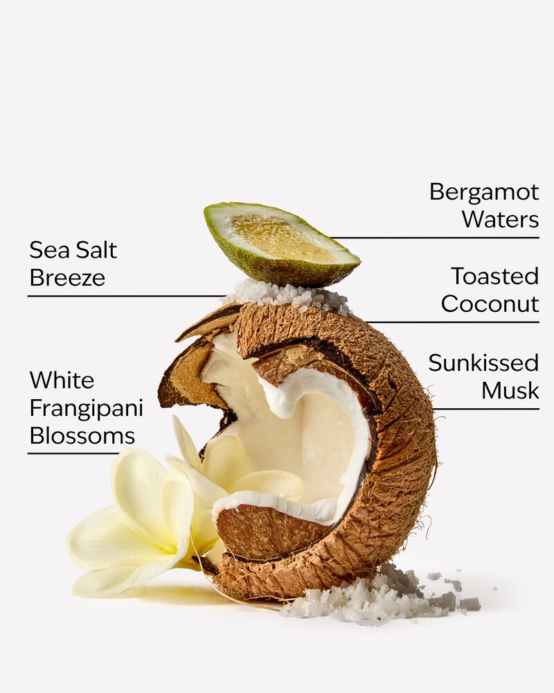 At The Beach Travel Size Dry Shampoo Travel Size Dry Shampoo