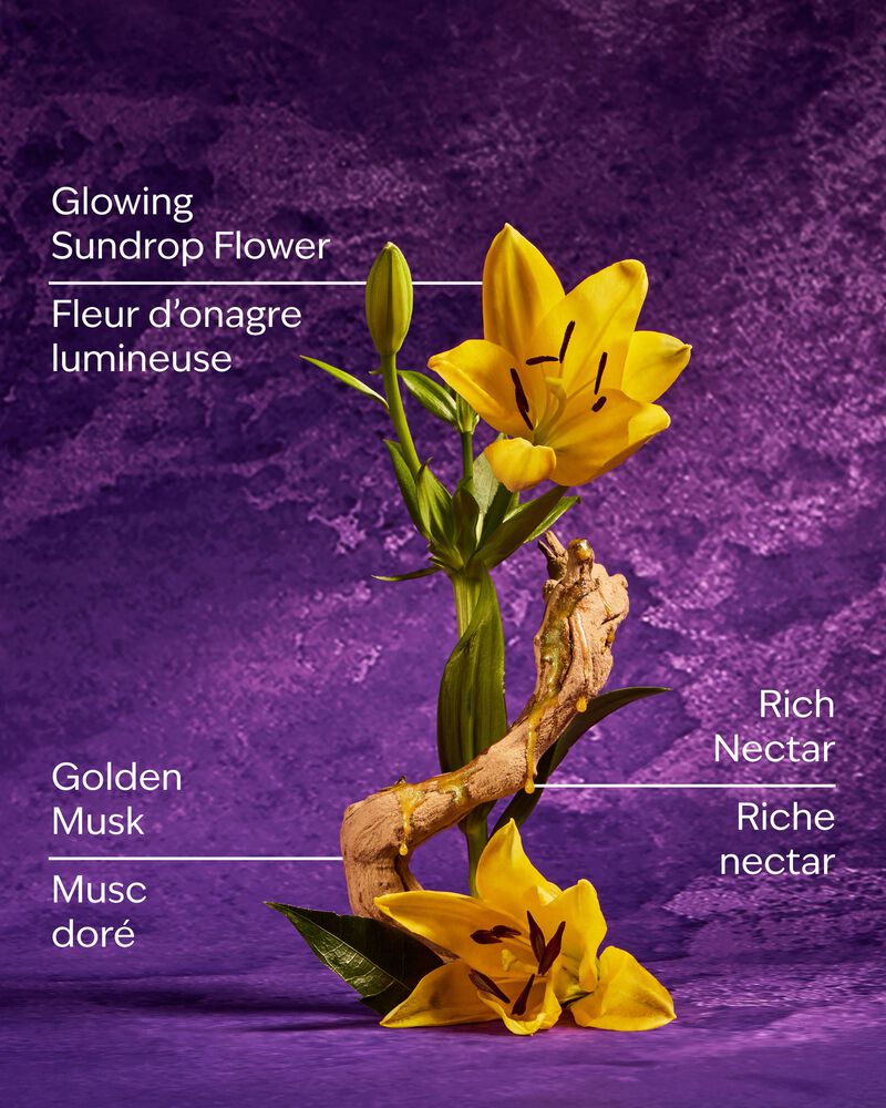 Xịt Thơm Cao Cấp Rapunzel Fine Fragrance Mist Fine Fragrance Mist