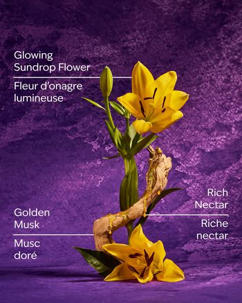 Xịt Thơm Cao Cấp Rapunzel Fine Fragrance Mist Fine Fragrance Mist