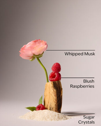 Sweetest Song Creamy Body Scrub Creamy Body Scrub