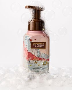 Nước Rửa Tay Tạo Bọt L&agrave;m Sạch & Dịu Nhẹ The Perfect Autumn Gentle & Clean Foaming Hand Soap image number null