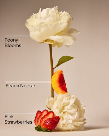 Sữa Tắm Dưỡng Ẩm Gingham Gorgeous Moisturizing Body Wash Sữa Tắm Dưỡng Ẩm