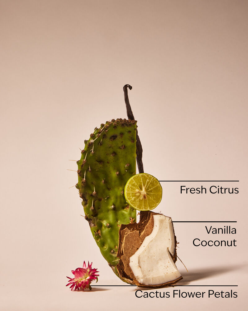 Cactus Blossom Car Fragrance Refill Car Fragrance Refill