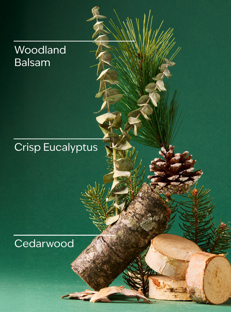 Fresh Balsam Concentrated Room Spray Concentrated Room Spray