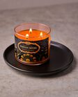 Nến 3 Bấc Pumpkin Carving 3-Wick Candle image number null