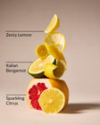 Nến 1 Bấc Kitchen Lemon Single Wick Candle image number null