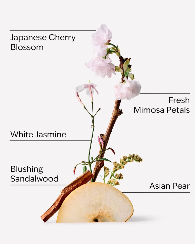 Sữa Tắm Dưỡng Ẩm Japanese Cherry Blossom Moisturizing Body Wash Moisturizing Body Wash