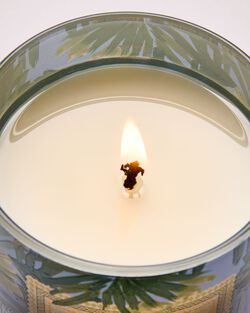 Nến 1 Bấc Warm Ocean Breeze Single Wick Candle image number null