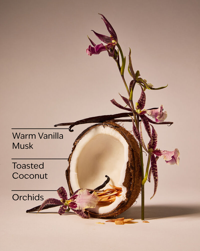 Tinh Dầu X&ocirc;ng Ph&ograve;ng Tiki Beach Wallflowers Fragrance Refill Tinh Dầu X&ocirc;ng Ph&ograve;ng