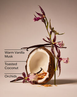 Tinh Dầu X&ocirc;ng Ph&ograve;ng Tiki Beach Wallflowers Fragrance Refill