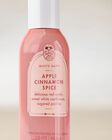 Xịt Ph&ograve;ng Đậm Đặc Apple Cinnamon Spice Concentrated Room Spray image number null