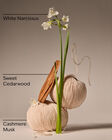 Nến 3 Bấc Flowerchild 3-Wick Candle image number null