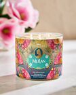 Nến 3 Bấc Mulan 3-Wick Candle image number null