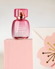 Nước Hoa Eau de Parfum Forever Cherry Blossom Eau De Parfum image number null