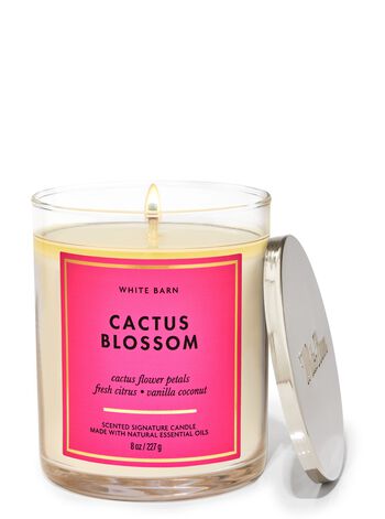 Nến 1 Bấc Cactus Blossom Single Wick Candle Nến 1 Bấc