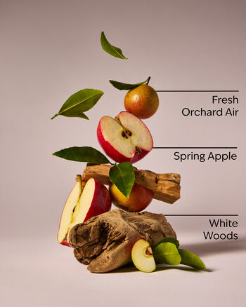 Blue Orchard Skies Gentle & Clean Foaming Hand Soap Gentle & Clean Foaming Hand Soap