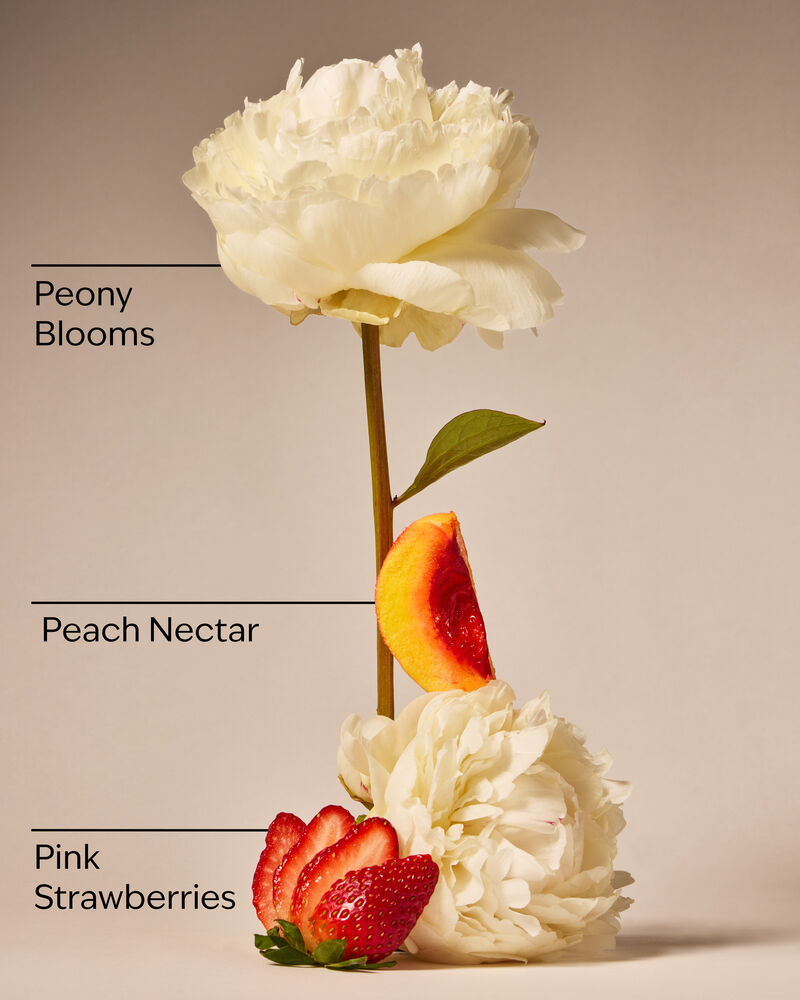 Kem Dưỡng Thể Cấp Ẩm Tối Ưu Gingham Gorgeous Ulbấcate Hydration Body Cream Kem Dưỡng Thể