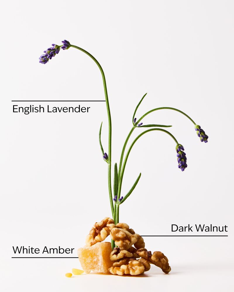 Nến 3 Bấc Autumn Woods 3-Wick Candle 3-Wick Candle