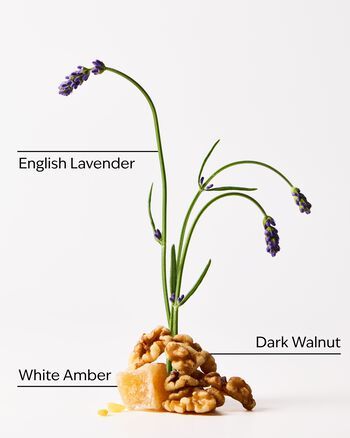 Nến 3 Bấc Autumn Woods 3-Wick Candle 3-Wick Candle