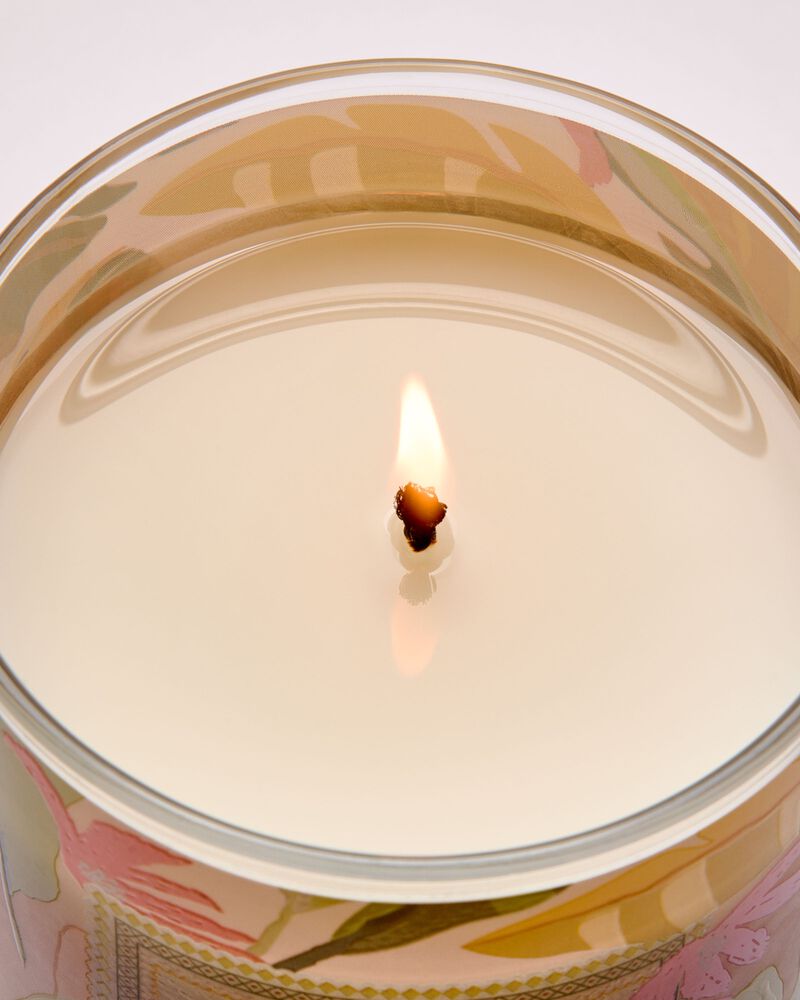 Nến 1 Bấc Coconut Pi&ntilde;a Colada Single Wick Candle Single Wick Candle