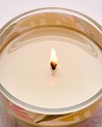 Nến 1 Bấc Coconut Pi&ntilde;a Colada Single Wick Candle image number null