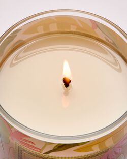 Nến 1 Bấc Coconut Pi&ntilde;a Colada Single Wick Candle image number null