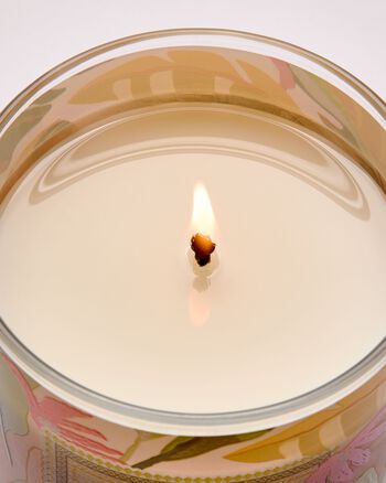 Nến 1 Bấc Coconut Pi&ntilde;a Colada Single Wick Candle Single Wick Candle